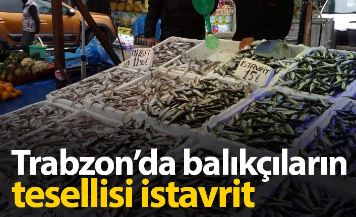 Trabzon'da balıkçıların tesellisi istavrit