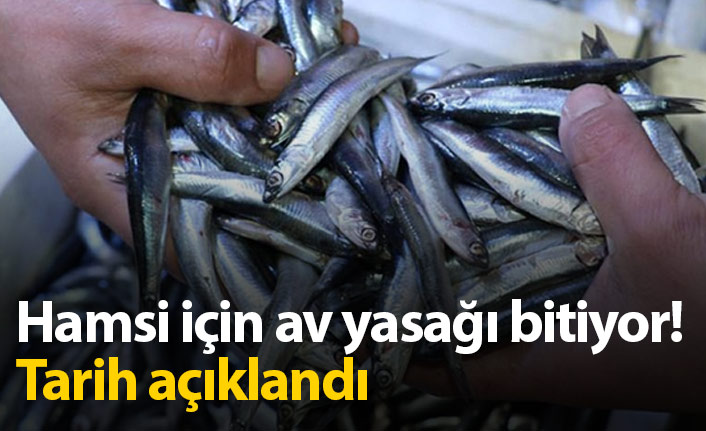 Hamside av yasağı ne zaman bitecek? Açıklandı