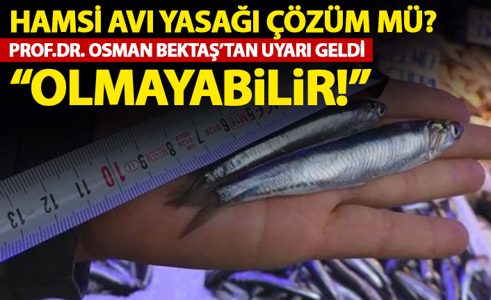 Hamsi avı yasağı istenilen sonucu vermeyebilir