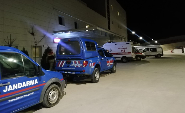 Ağaç keserken canından oldu