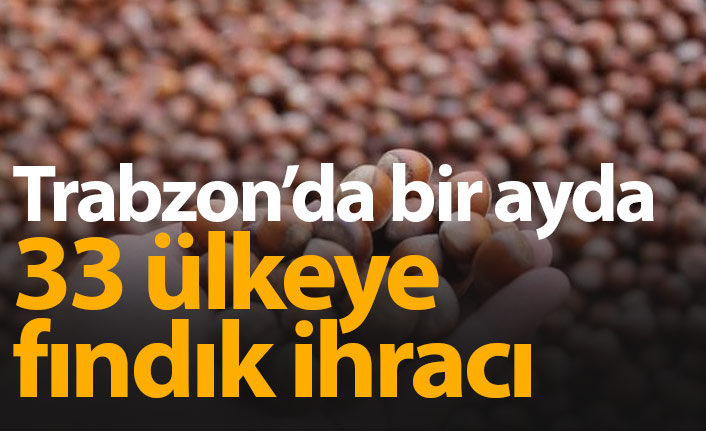 Trabzon'dan 1 ayda 33 ülkeye fındık ihracı