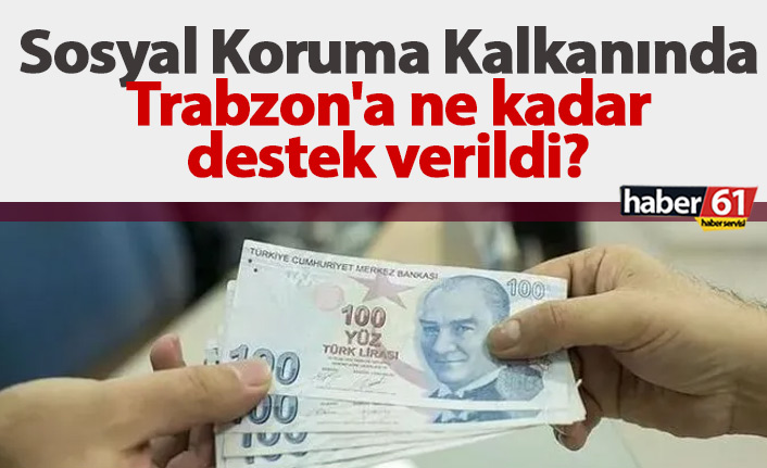 Sosyal Koruma Kalkanında Trabzon'a ne kadar destek verildi?