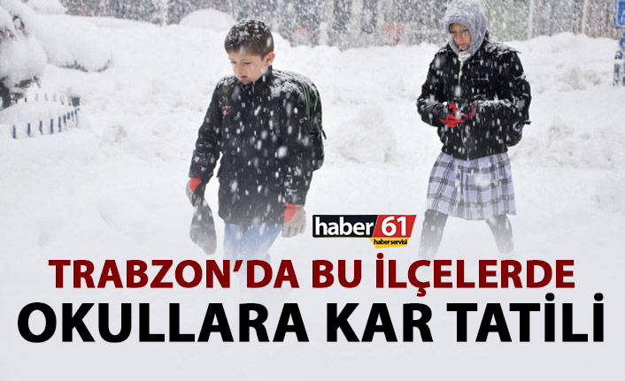 Trabzon'da bazı ilçelerde okullarda kar tatili uzatıldı