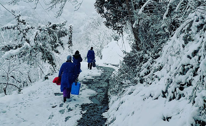 Trabzon'da aşılama çalışmaları devam ediyor