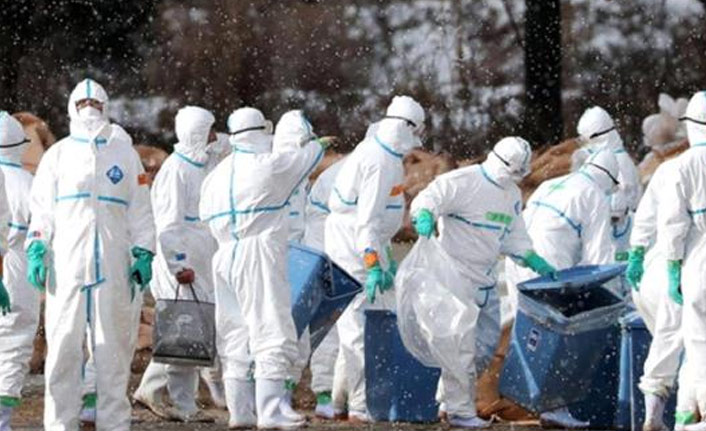 Koronavirüs derken yeni salgın çıktı