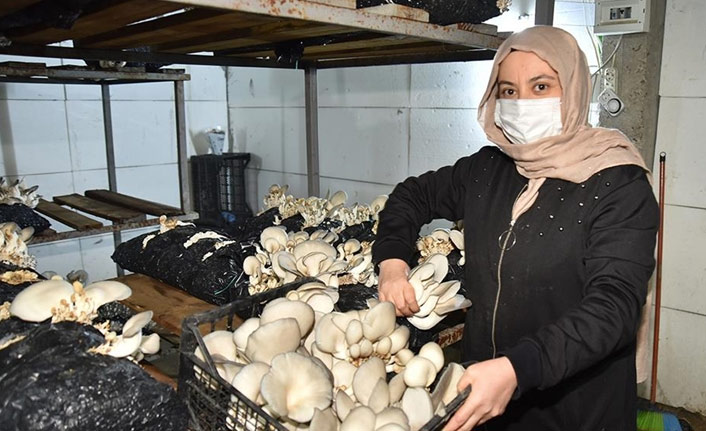 Hobi olarak başladı talebe yetişemiyor