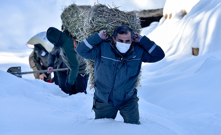 Gümüşhane’de DKMP Ekipleri Yoğun Kar Altında Yemleme Yaptı