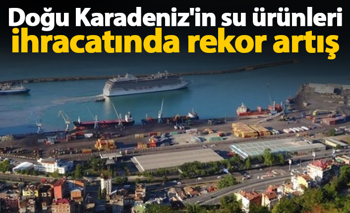 Doğu Karadeniz'in su ürünleri ihracatı ocakta yüzde 176 arttı