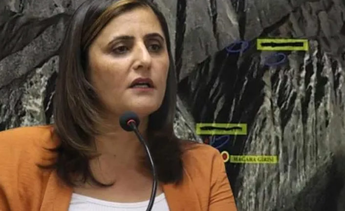 Taşdemir Gara'ya nasıl gitti? Kaçan teröristler anlattı