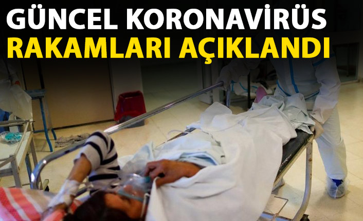 Türkiye’de son 24 saatte 9 bin 193 koronavirüs vakası tespit edildi