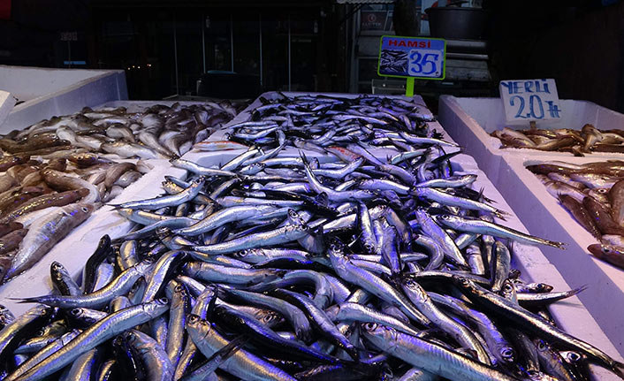 Trabzon'da yerli hamsi el yakıyor