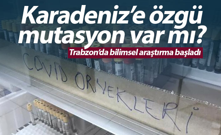 Karadeniz mutasyonu var mı? Bilimsel araştırma başlatıldı