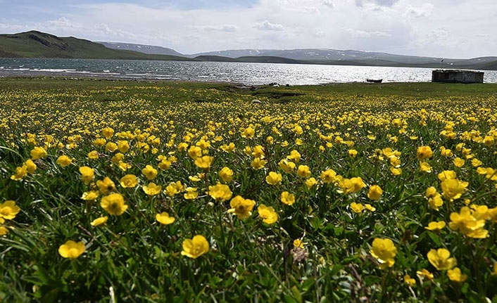 Son cemre bugün toprağa düşüyor