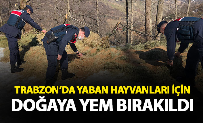 Trabzon’da jandarma, yaban hayvanlarını unutmuyor