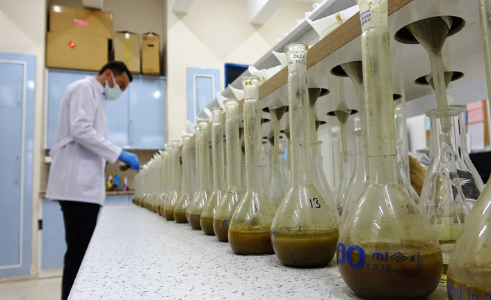 8 yıllık çalışma sonuç verdi! Türkiye'nin ilk milli tütünü üretildi