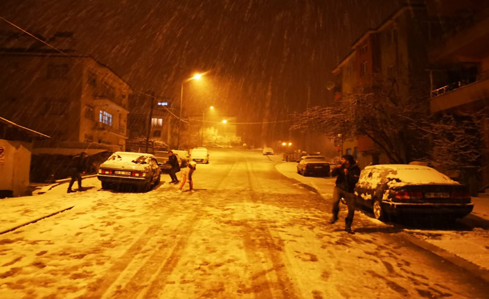 Denizli'de yağan kar kısıtlamaları deldi