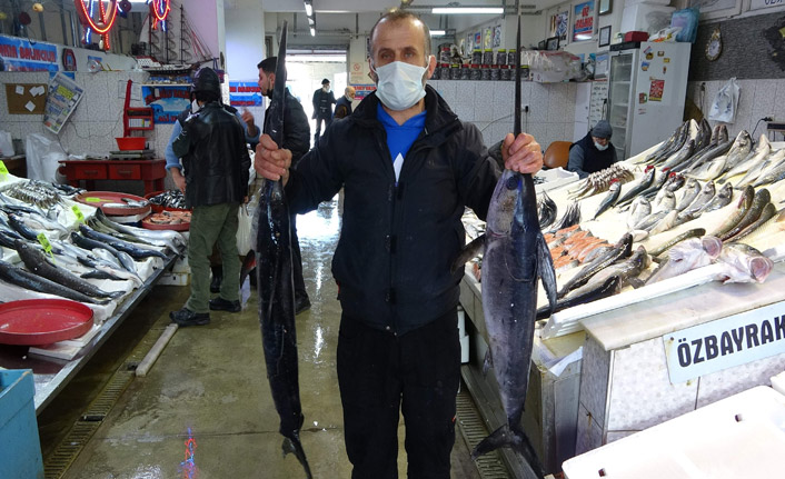Trabzon tezgahlarında İstanbul'dan gelen balıklar satışa sunuldu