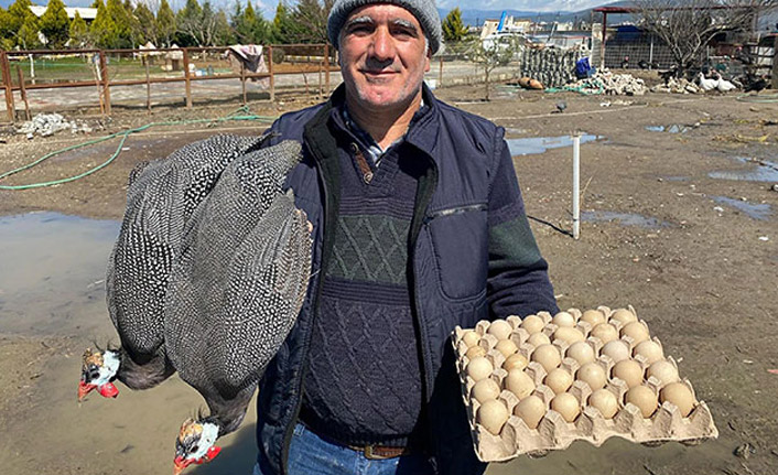 Tanesi 7 liraya, İran tavuğundan paskalya yumurtası