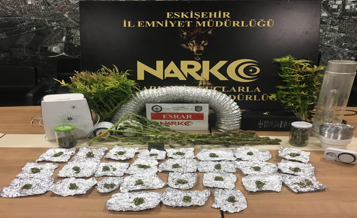 Hint kenevirine evde şaşırtan düzenek!