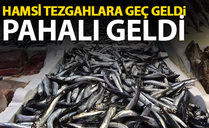 Trabzon'da hamsi tezgahlara geç geldi pahalı geldi
