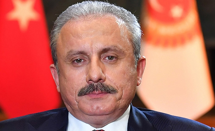 Şentop: Yeni anayasa tartışması ciddiye alınmalı