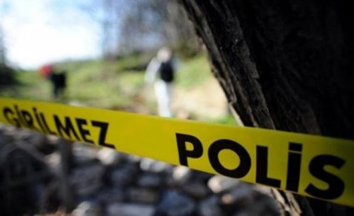 Ormanlık alanda kafatası ve kaburga kemikleri bulundu