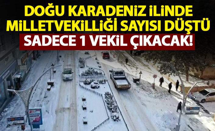 Doğu Karadeniz ilinde milletvekili sayısı düştü