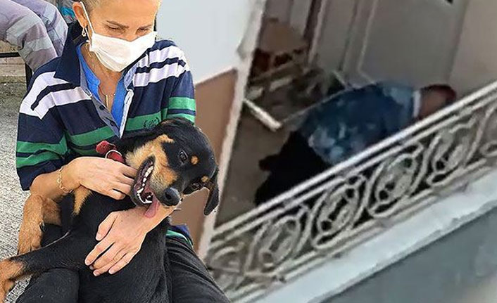 Trabzon'da köpeğini döven kişiyi görüntüledi diye dava açılmıştı, karar verildi