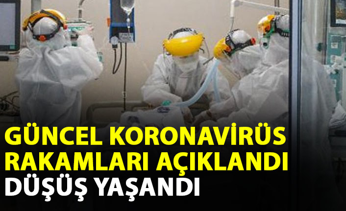 Türkiye’de günlük koronavirüs vakaları 29 binin altına indi