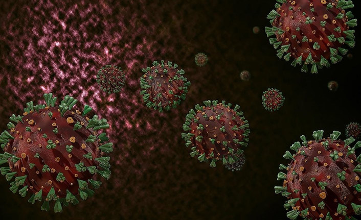 DSÖ'nün Wuhan raporu sızdı! Koronavirüs insanlara böyle bulaşmış