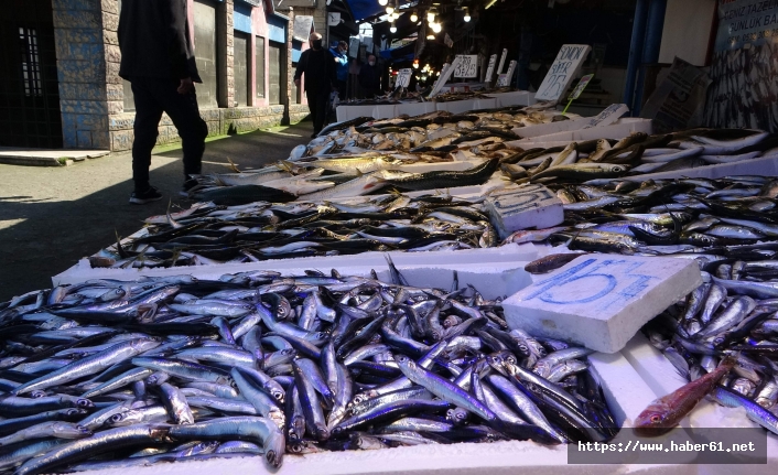 Karadeniz'de sezon sonu hamsileri tezgahlarda yerini aldı