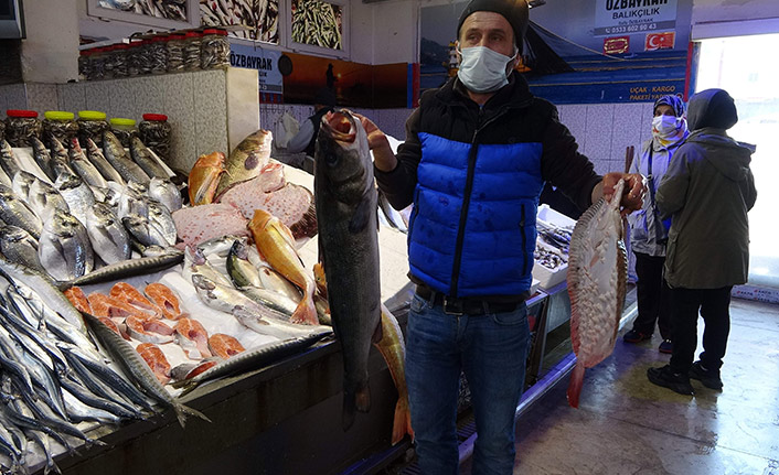 Karadeniz’de Kırlangıç ve Kalkan Balığı bereketi