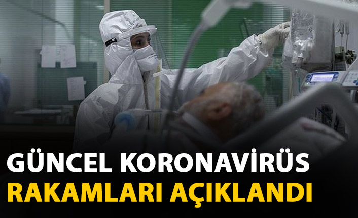 Türkiye'de son 24 saatte 39 bin 302 koronavirüs vakası tespit edildi