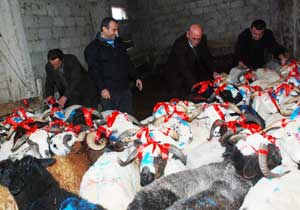 Onlar da Kurban Kesecek