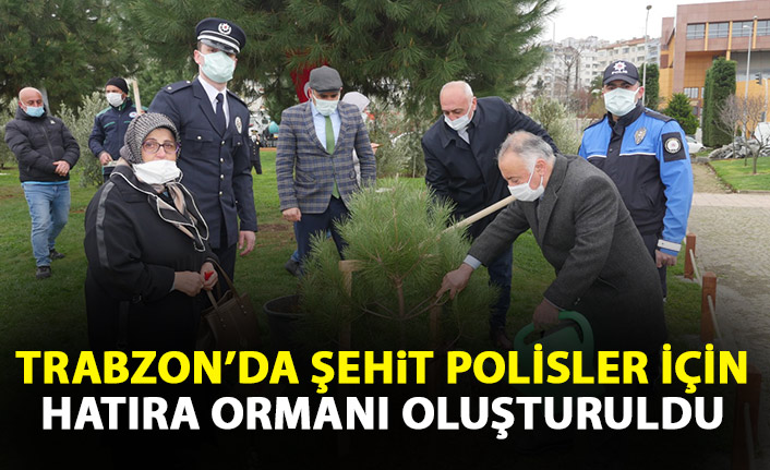 Trabzon'da şehit polisler için hatıra ormanı