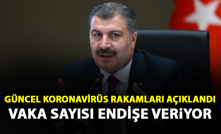 Güncel koronavirüs rakamları açıklandı! 248 kişi hayatını kaybetti