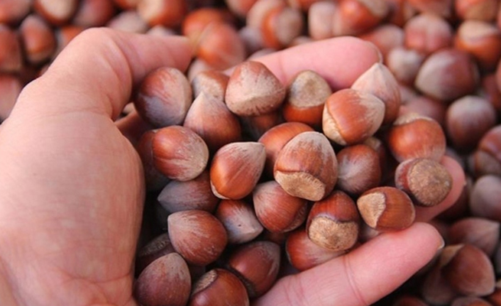 Fındık ihracatının yüzde 85’i AB ülkelerine! Hedefi böyle açıkladı