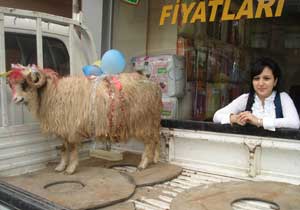 KTÜ'den kurban uyarısı