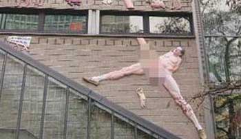 Penisli Gazete Kavgası