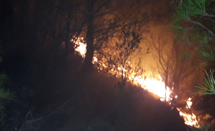 Muğla'da, 5'er dakika arayla ormanlık iki alanda yangın