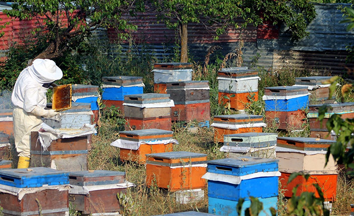 Çiçeklerin açmasıyla zorlu mesai başladı