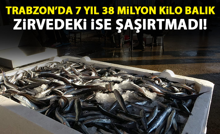Trabzon'da son 7 yılda 40 milyon kilogram balık!
