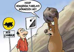 Artvin'de ayı çıkabilir levhası