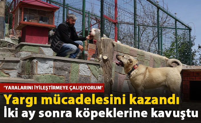 Yargı mücadelesini kazandı, iki ay sonra köpeklerine kavuştu
