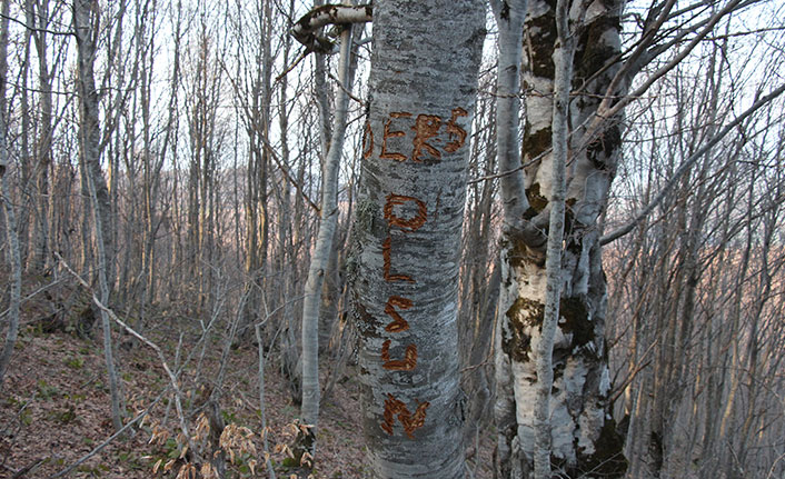 Köyün su borusuna koyun yünü tıkıp, ağaca 'Ders olsun' yazmışlar
