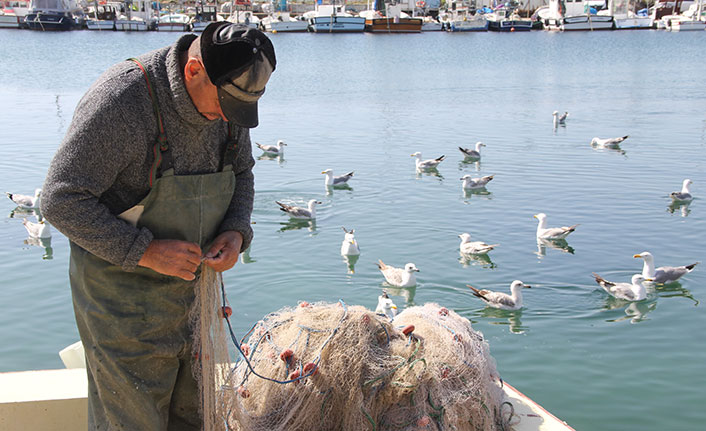 Küçük balıkçıların başı yunuslarla dertte