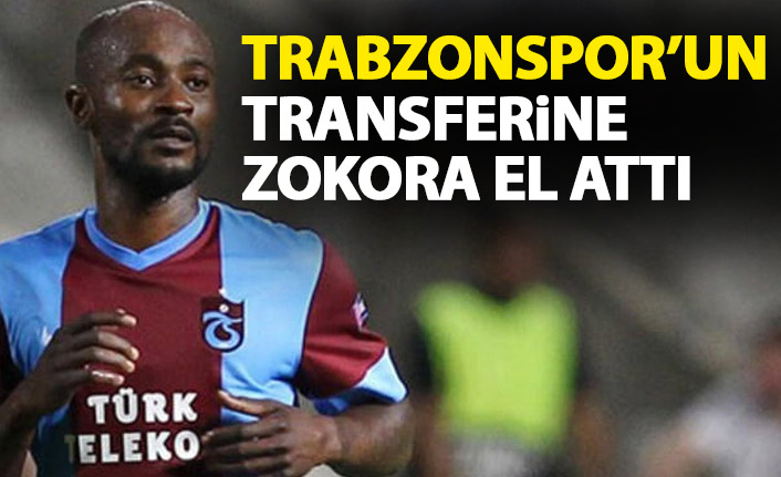 Trabzonspor'un transferine Zokora el attı