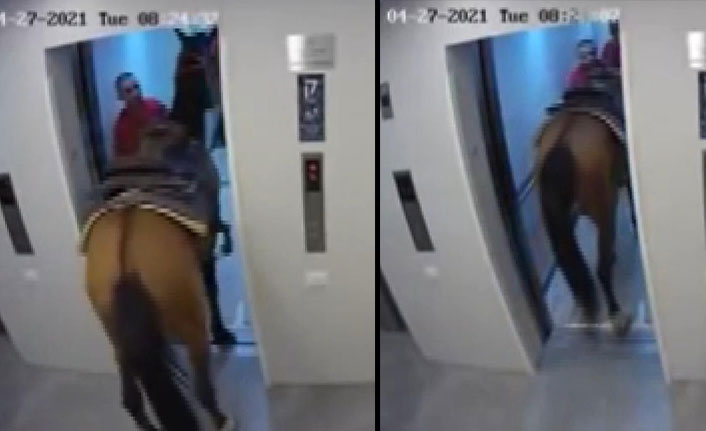 Asansöre at bindirmeye çalışan adamdan ilginç savunma