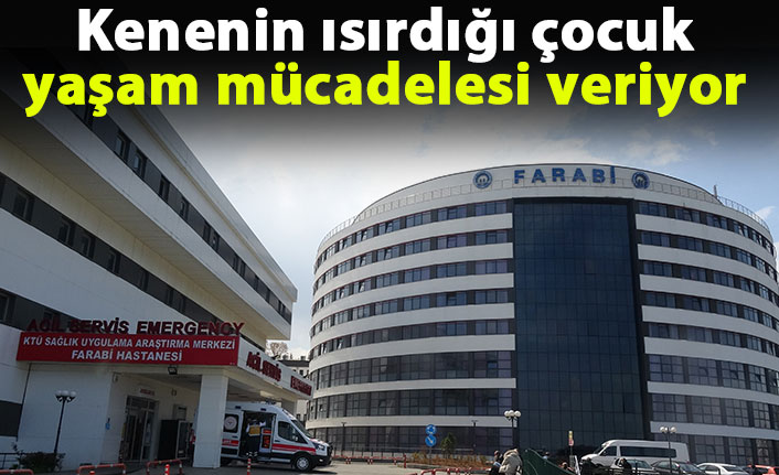 Artvin'de kenenin ısırdığı çocuk yaşam mücadelesi veriyor