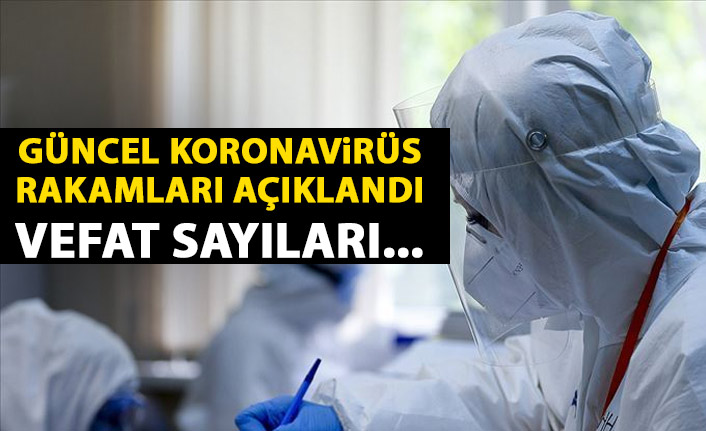 Sağlık Bakanlığı günlük koronavirüs tablosunu açıkladı: 394 kişi hayatını kaybetti